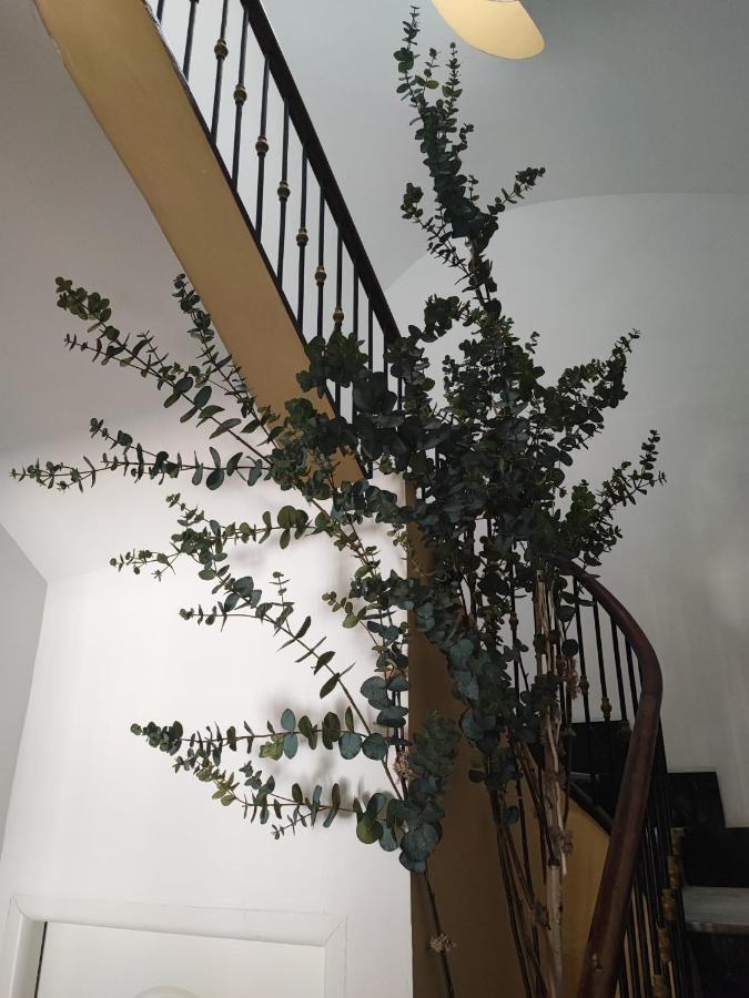 Apartamento Albarino 23 Novelda Exteriör bild